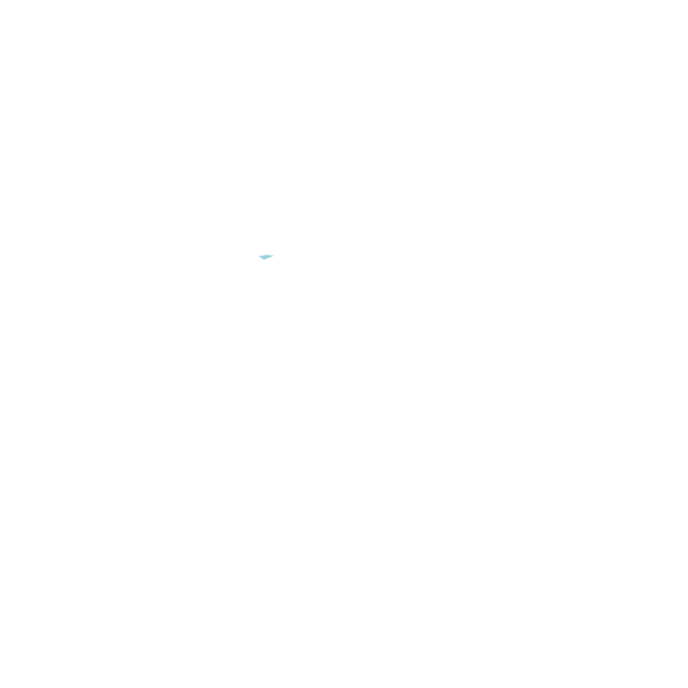 betrouwbaarheid partell en team dsm organisatiedoelen die matchen partell en team dsm